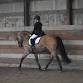 Dressage Clinic & Ride Review with "L" judge event image
