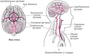 Постановка диагноза