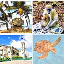 NOBODY DOES IT BETTER THAN CAPTAIN LARRY