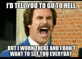 Pin By Margie Christgen Willis On Workflow Work Humor Work Memes Workplace Humor