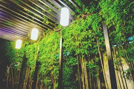 How To Charge Solar Lights Without Sun Indoor Solar Charging Guide