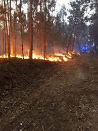 Na frança, um avião de combate a incêndios danificou uma linha de muito alta tensão, ao provocar uma falha na rede elétrica europeia, interrompendo o fornecimento de eletricidade em vários países, dos quais portugal e espanha, este sábado, esclareceu a gestora da rede espanhola, ree. Cidade Hoje Famalicao Incendio Esta Em Fase De Rescaldo Facebook