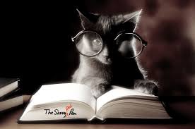 Dangling modifier misplaced modifier examples funny. Funny But Not So Funny Dangling Misplaced Modifiers The Savvy Red Pen