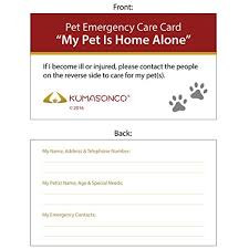 Kumasonco Pet Emergency Care Card Pack Of 4 Check Out This Great Product This Is An Affiliate Link Birds Emergency Care Pet Emergency Emergency