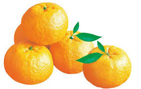 1,689 likes · 330 talking about this. èŠ¦æŸ'å'Œæ©˜å­çš„åŒºåˆ« é²œæ·˜ç½'