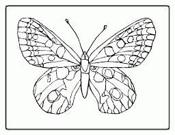 Foster the literacy skills in your child with these free, printable coloring pages that can be easily assembled into a book. Printable Butterflies Coloring Home