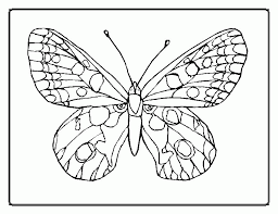 The printable butterfly coloring pages are a great resource for teachers and parents. Butterfly Coloring Pages Free Printable Coloring Home