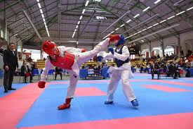 Félicitations à Maëlyne GRISARD pour sa médaille d'argent au Championnat de  France minimes de karaté à Vannes