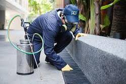 As an essential services business, we remain open and available to help with any of your pest control or wildlife needs. Pest Control Bedbugs And Pest Control Service For Residence Retailer Service Provider Advent Pest Control Mumbai