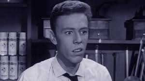 Petticoat Junction: Season 1