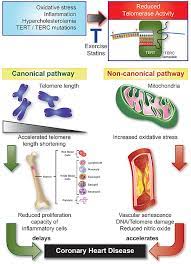 Acute Coronary Syndrome European Heart Journal Oxford Academic