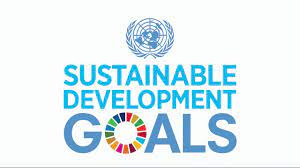 They address the global challenges we face, including poverty, inequality, climate change, environmental degradation, peace and justice. Sdg Iec