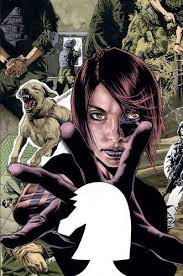 Spybrary podcast recommends Private Wars by Rucka