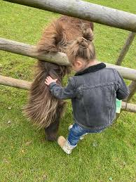 I'm pretty convinced he's going to grow up to be a local ranch hand at this  rate 😂😂👨‍🌾 he wants to be outdoors at any given time no matter the  weather! ☔️