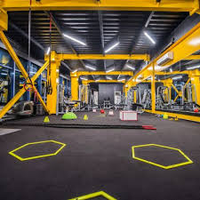 We did not find results for: Reteaua Futura Gym Decebal Pipera Militari