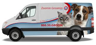 We have groomers with years of experience ready to take care of both your dog and you. Metro West South Ma Mobile Pet Grooming Zoomin Groomin 855 825 Pets Best Mobile Pet Grooming By Zoomin Groomin Eco Friendly Pet Grooming Service