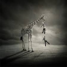 Resultado de imagen para artes surrealistas
