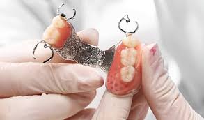 Image result for Multidentia exserta