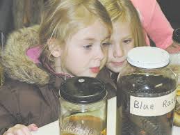 Salamanders, critters delight Lynch students at Skinner Lake visit