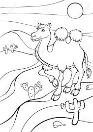 Scorching rays of the setting sun. Coloring Pages Animals Cute Camel Stands In The Desert And Royalty Free Cliparts Vectors And Stock Illustration Image 56471373