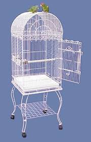 Bird Cage For Sale Cheap Hana Hut Dometop Small Bird Cage With Stand Small Bird Cage Bird Cage Stand Large Bird Cages