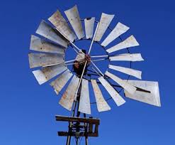 Do you take advantage of it? Windmill Protea How To Choose A Blog Name Windmill Protea