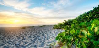 — a truck stolen from a fort myers car dealership last month was found with an altered vin number, officials said. Luxury Car Dealer Near Fort Myers Fl Naples Luxury Imports