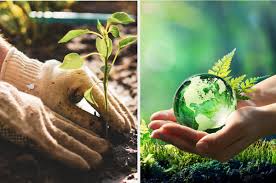 Take along a plastic bag from the grocery store and pick up any litter that you see along your walk. 10 Ways Gardens Help The Environment