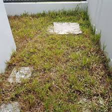 Terima kasih tuan kerana sudi berkongsi maklumat ini. Sekali Semburan Rumput Di Laman Dapat Dihapuskan Walau Bukan Guna Racun Kimia Memang Terbaik Keluarga