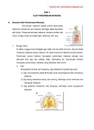 Pada 9 agustus 1945 kota nagasaki juga dibom oleh amerika serikat. Top Pdf 211441387 Rangkuman Materi Kelas 5 Semester 2 123dok Com