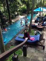Kolam Renangnya Rimbun Tetap Adem Walaupun Berenangnya Siang Siang Gini Picture Of Novotel Bogor Golf Resort And Convention Center Tripadvisor