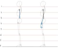 Insan Anatomisi Model Cizim Teknikleri Ve Olcu Nasil Alinir Insan Anatomisi Cizim Anatomi