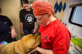 Reliable, compassionate, experienced animal lovers. Pawsitive Snip In The Right Direction Brandon Sun