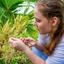 UM News: Science and Technology