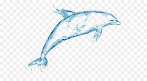 Tropfen Spritzwasser Kreativitat Zeichnen Delphin Spray Png Herunterladen 658 498 Kostenlos Transparent Wasser Png Herunterladen