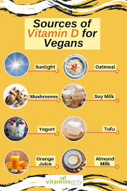 Thompson S Vitamin D3 1000iu 240 Capsules Vegan Vitamins Vitamin D Rich Food Mineral Nutrition