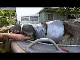 Di croco is a darwin boutique renowned for its luxury goods made from the highest quality nt crocodile skin. Nt Wildlife Rangers Capture Huge Croc Youtube