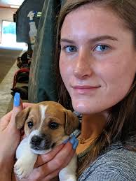 Lost horse in Wild Horse Valley area