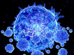 Cells are the smallest units of life. How Killer T Cells Could Boost Covid Immunity In Face Of New Variants
