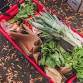 Central Oregon Fill Your Pantry