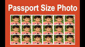 how to make passport size photo in microsoft powerpoint 2017 powerpoint tutorial powerpoint microsoft powerpoint