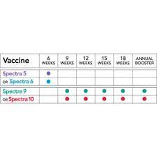 Generally puppies should not be around other dogs for a while as there immune systems are not fully functional this is just a basic rundown of some pointers here and there to be used as you see fit. Durvet Canine Spectra 5 Dog Vaccine Single Dose With Syringe 40481 At Tractor Supply Co