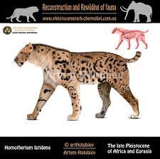 Patreon Prehistoric Animals Prehistoric Animals Dinosaurs Prehistoric