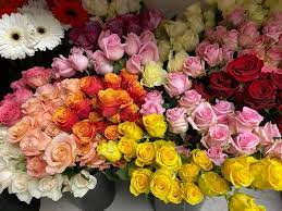 Our database has everything you'll ever need, so enter & enjoy ;) Flowers By Joanne Facebook