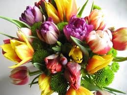 Featuring the best local canada flowers, combined with unique and compelling bloomex original floral designs. Happy Birthday Flowers Bouquet Free Stock Photos Download 11 733 Free Stock Photos For Commercial Use Format Hd High Resolution Jpg Images
