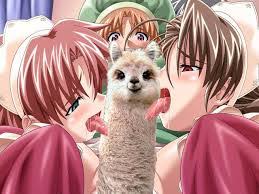 Bermuda Triangle Colorful Pastrale Episode 3 Vostfr Adkami