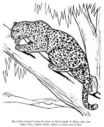 When the online coloring page has loaded, select a color and start clicking on the picture to color it in. Wildlife Coloring Pages Coloring Home