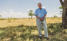 Born 8 may 1926) is an english broadcaster and natural historian. David Attenborough The Legacy Of A Great Science Communicator Familia Torres