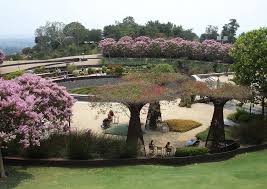 Getty Museum Garden Getty Museum Getty Museum Los Angeles Garden Images