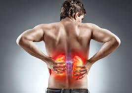 Nierenprellung Ursachen Symptome Und Therapie Heilpraxis